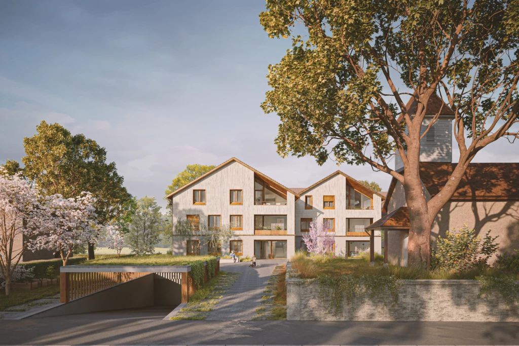 251031_clr_gy_Street_comp